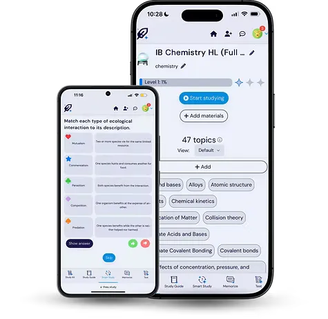 Estudante utilizando notebook